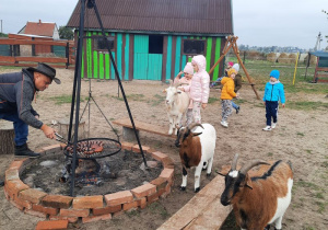 Przygotowywanie kiełbasek na ognisku w towarzystwie kóz