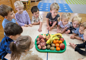 Dzieci poznają owoce.