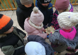 Dzieci i talerzyk z ziarnami dla ptaków.