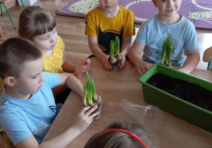 Dzieci siedzą przy stoliku, gotowe do wsadzenia swoich cebulek