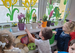 Dzieci obserwują rośliny w Zielonym Kąciku Przyrody.