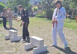 Pokaz sztuk walki - taekwondo.