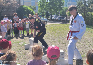 Pokaz sztuk walki - taekwondo.