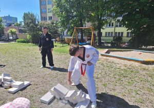 Pokaz sztuk walki - taekwondo.