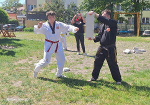 Pokaz sztuk walki - taekwondo.